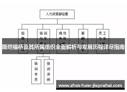 斯坦福桥及其所属组织全面解析与发展历程详尽指南